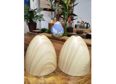 水轉印粉末涂料 (13)